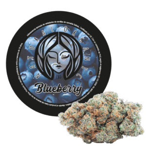 blueberry flor cbd producto