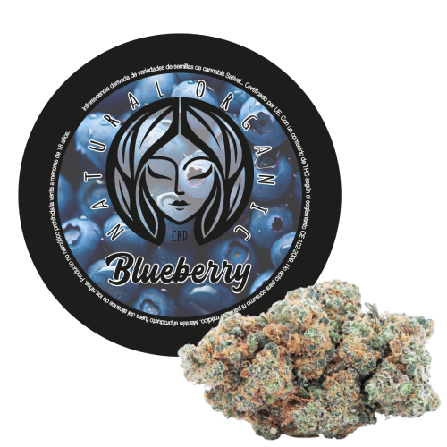 blueberry flor cbd producto