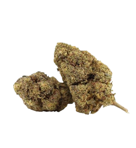 mimosa flor cbd cogollo